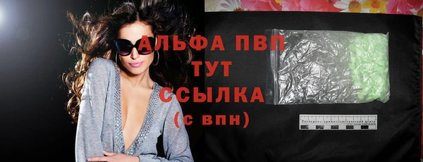 шишки Абаза