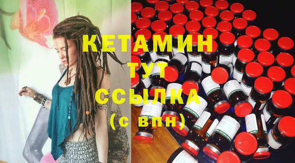 шишки Абаза