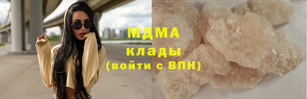 шишки Абаза