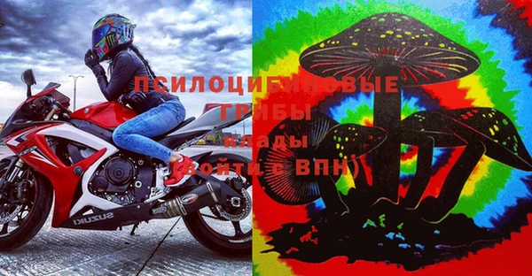 ГАЛЛЮЦИНОГЕННЫЕ ГРИБЫ Нягань