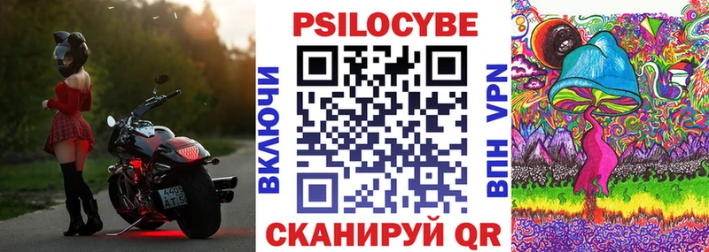 Псилоцибиновые грибы Cubensis Уржум